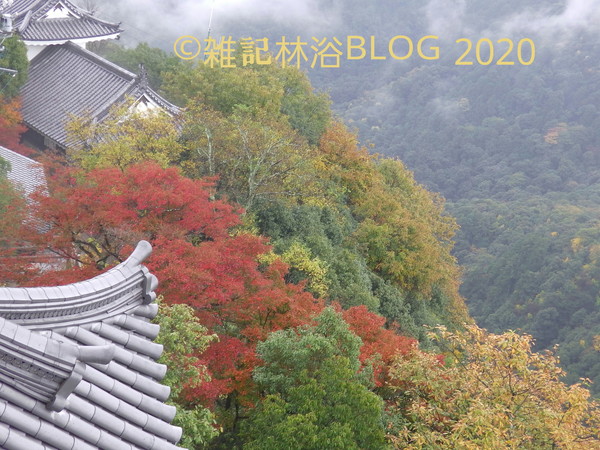 岐阜城 金華山 岐阜公園 山頂 眺望 紅葉 天守