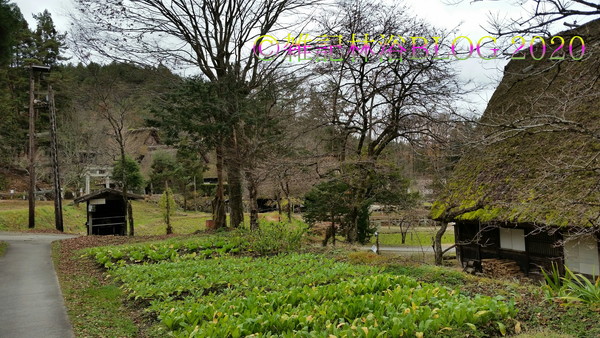 岐阜 高山 飛騨 飛騨の里 飛騨民俗村 集落博物館 古民家 合掌造り 旧家