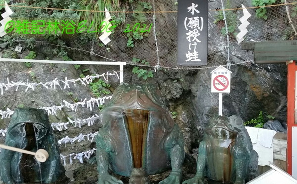 二見興玉神社 境内 二見蛙 蛙 像 奉献 猿田彦大神 神使 日の神 拝所 谷蟆 たにぐく ヒキガエル 古名 献じ 伊勢神宮 参拝者 旅 安全 祈念 無事 願い 手水舎